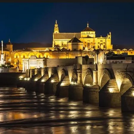 Tinte 8 Córdoba
