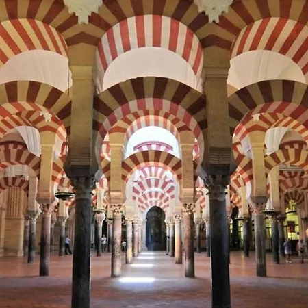 Tinte 8 * Córdoba